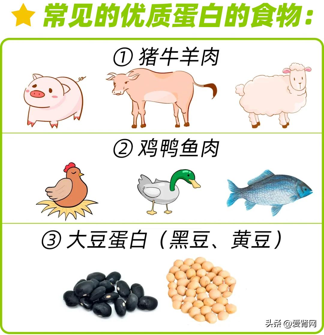 透析患者的营养管理_透析营养餐_透析患者营养餐