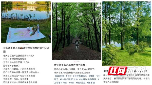 青青蔬果减肥胶囊有用吗_运动后超量氧耗_青青有氧运动