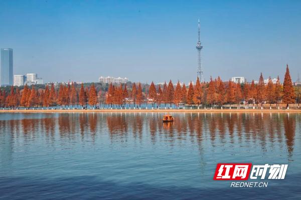 青青有氧运动_青青蔬果减肥胶囊有用吗_运动后超量氧耗