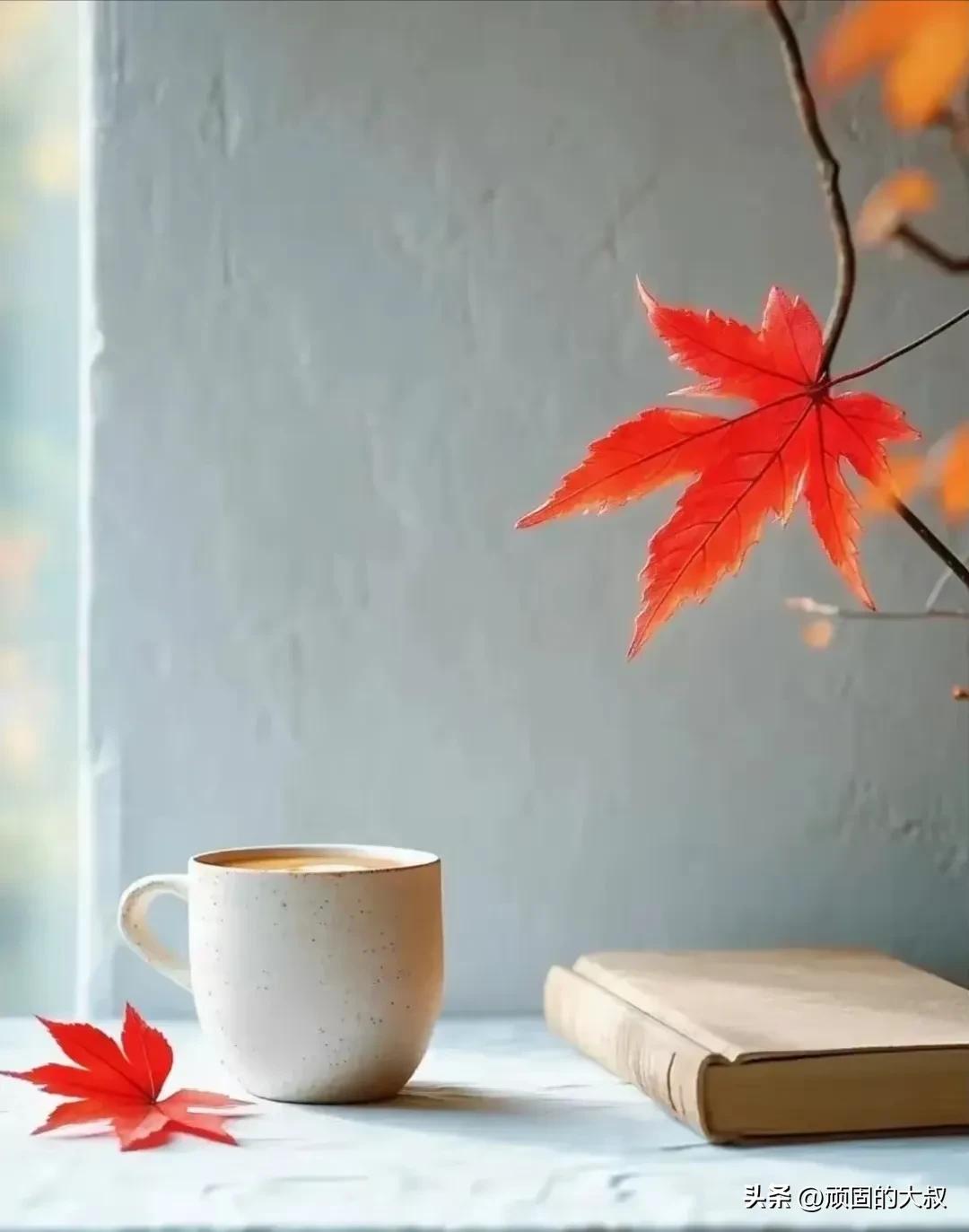 家务劳动日常化_家庭劳动要日常化_每天的家庭劳动内容