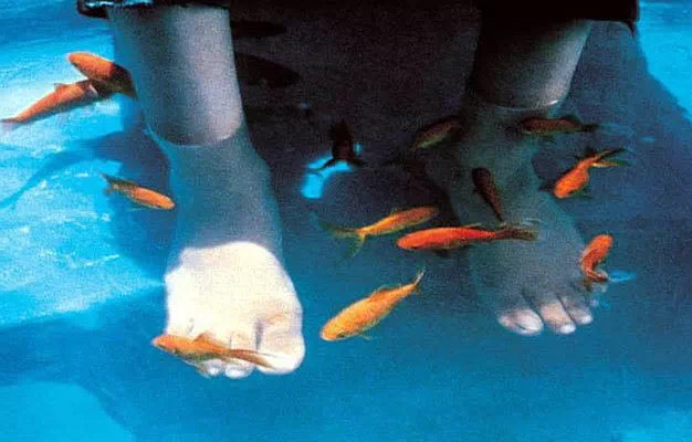 叙事日常家庭结构分析_家庭叙事片段_家庭日常叙事结构