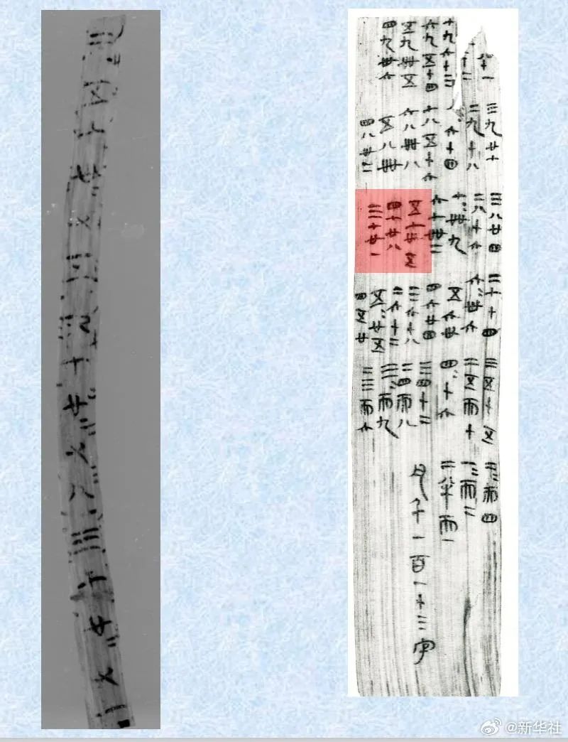 中国第一部生活百科全书_生活中的百科全书_生活百科书有哪些