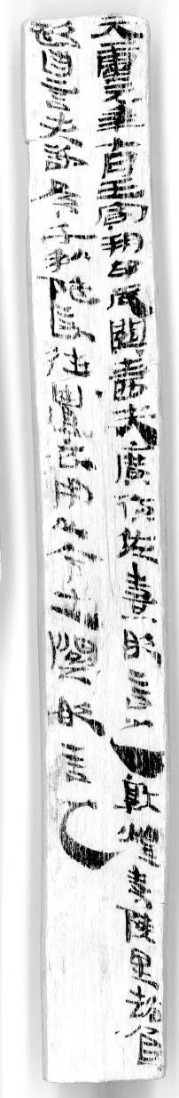 生活中的百科全书_生活百科书有哪些_中国第一部生活百科全书