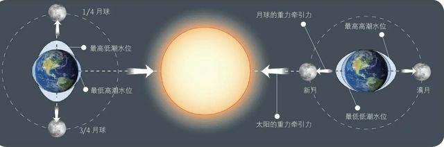常识海洋潮汐基本原理_潮汐海洋基本常识_海洋潮汐规律