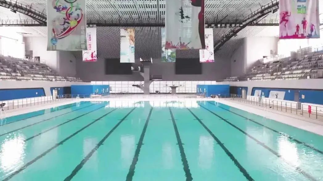 东京4×100米冠军_东京游泳冠军男_东京100米游泳比赛冠军