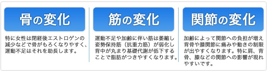 健身房教练电视连续剧_日本健身房运动教练_健身房之教练的