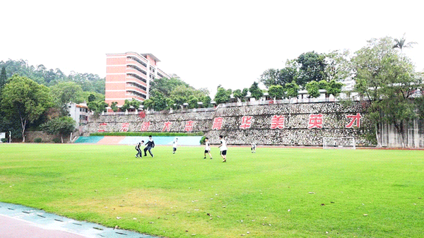 加拿大国际学校篮球冠军_加拿大精英篮球联赛排名_加拿大篮球大学