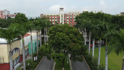 加拿大篮球大学_加拿大国际学校篮球冠军_加拿大精英篮球联赛排名